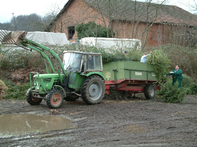 Weihnachtsb�ume 2007