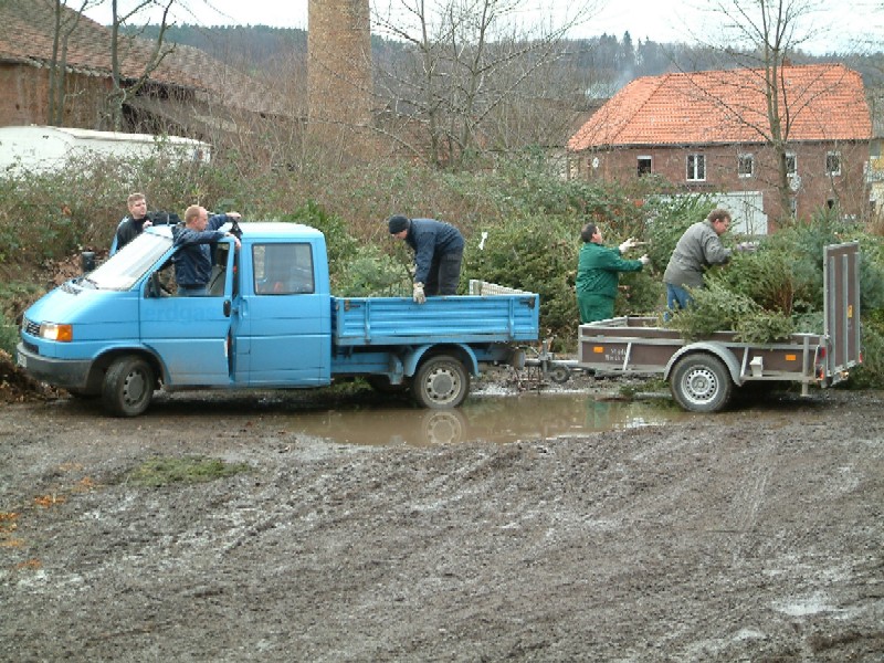 Weihnachtsb�ume 2007